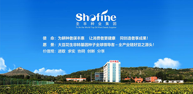 關于圣豐