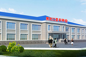 黑龍江圣豐